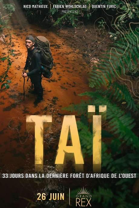 TAÏ: 33 days in the last primary West African forest